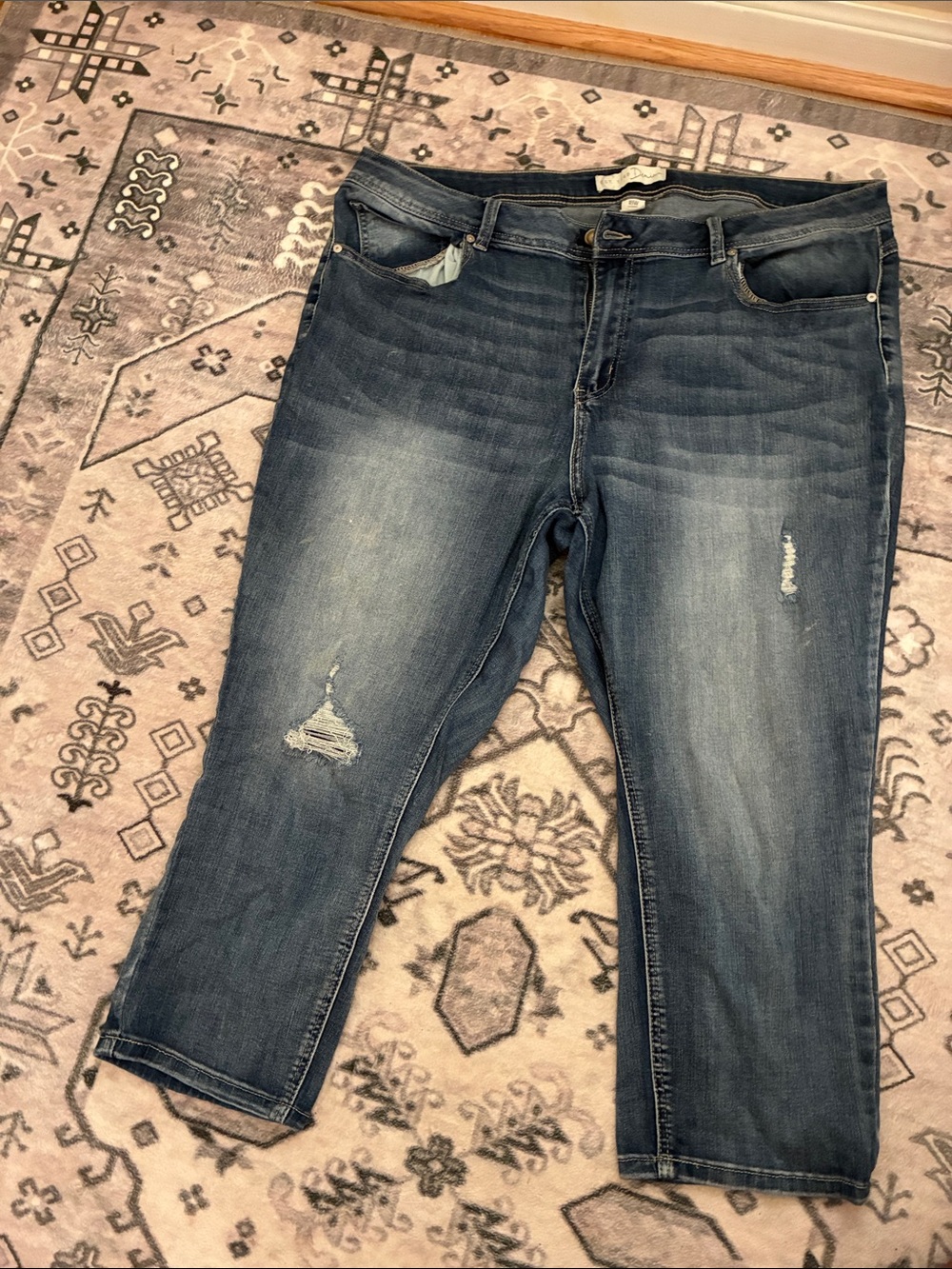 Plus-Size Distressed Blue Women's Jeans